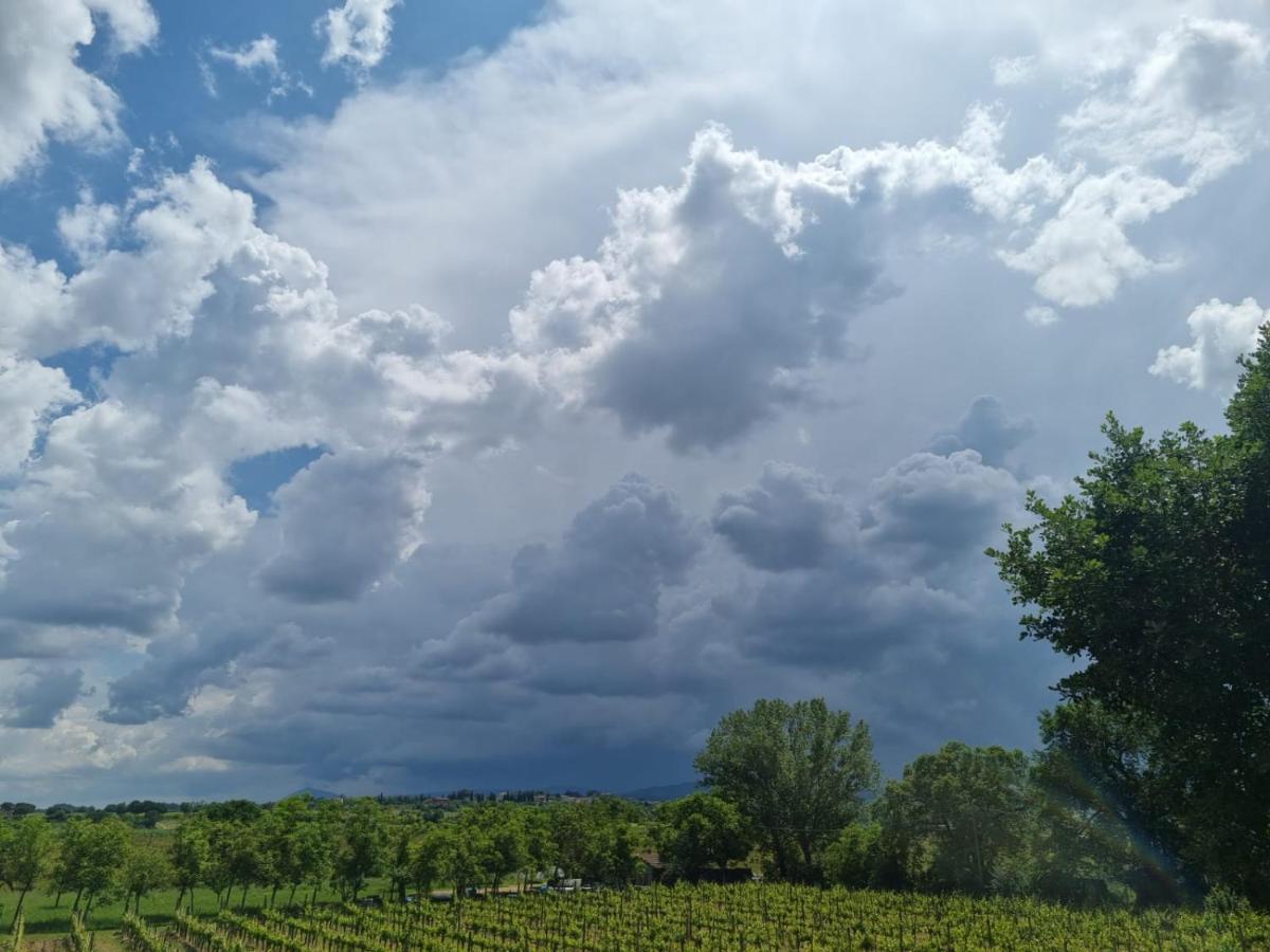 Fornace Del Conte Lägenhet Abbadia di Montepulciano Exteriör bild
