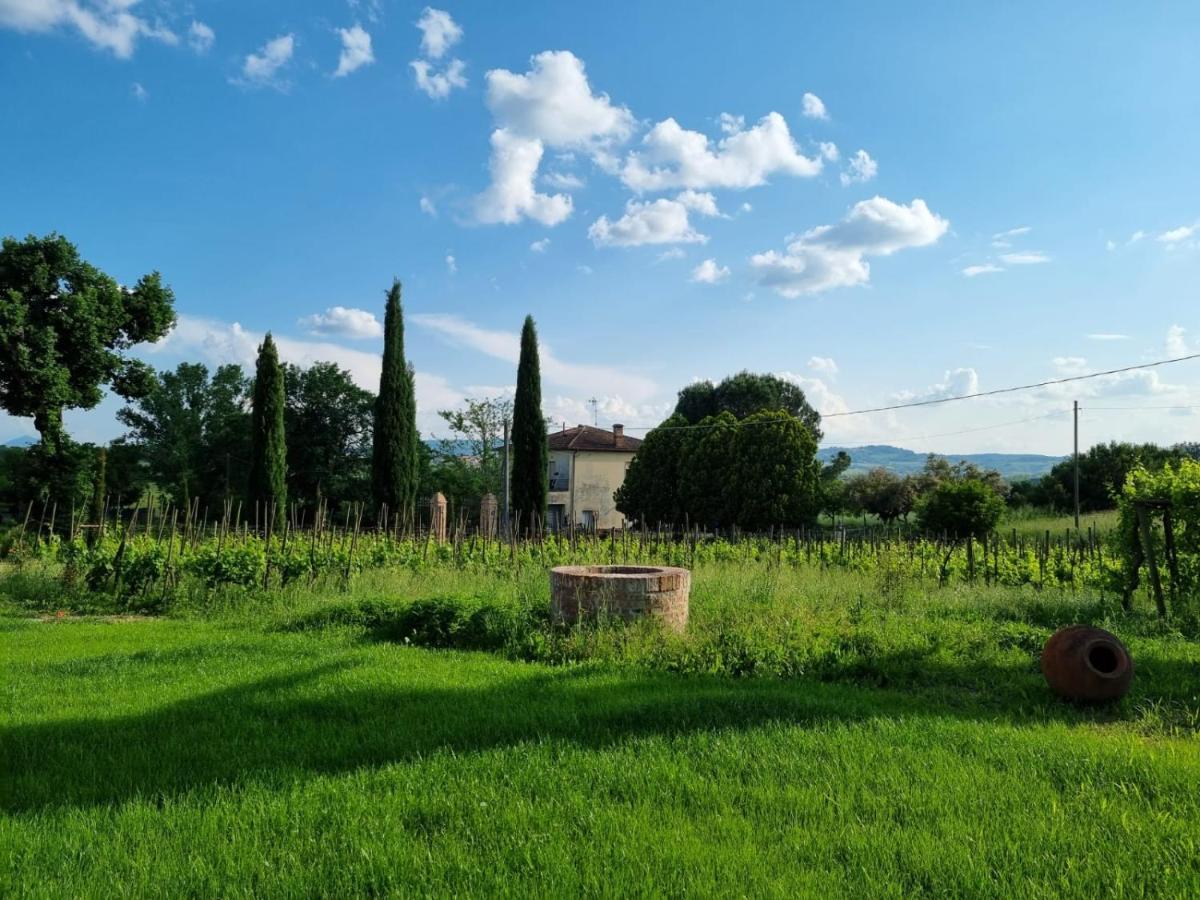 Fornace Del Conte Lägenhet Abbadia di Montepulciano Exteriör bild