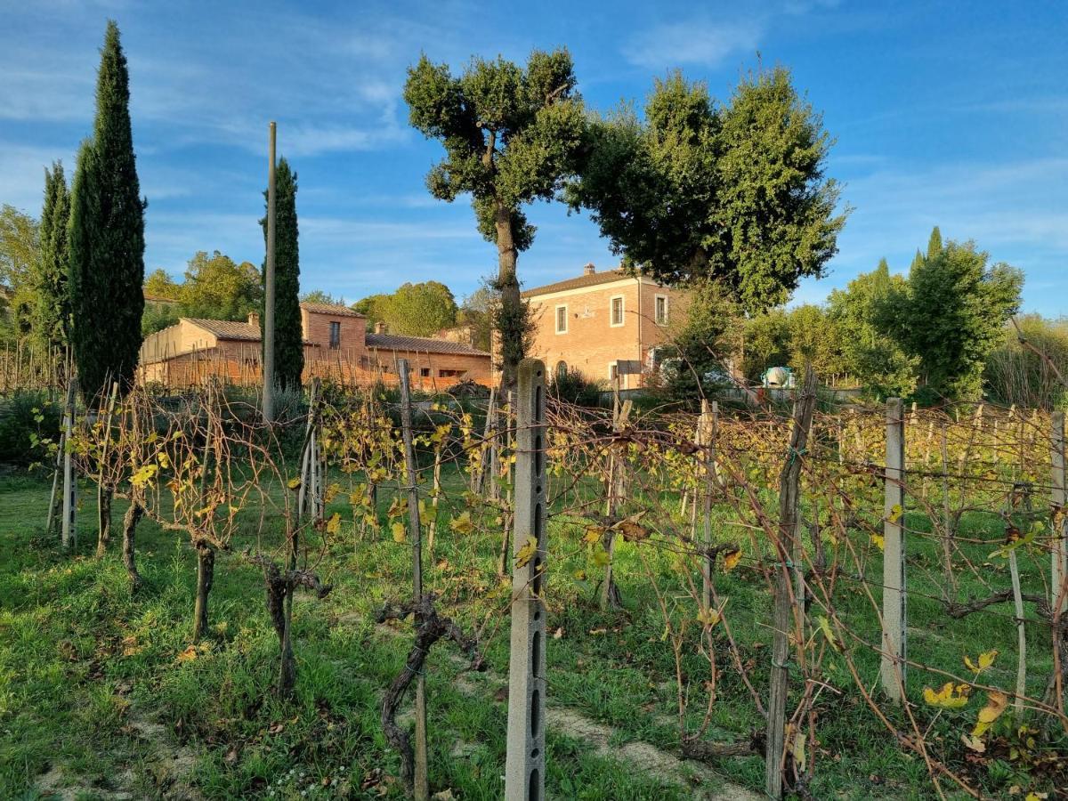 Fornace Del Conte Lägenhet Abbadia di Montepulciano Exteriör bild