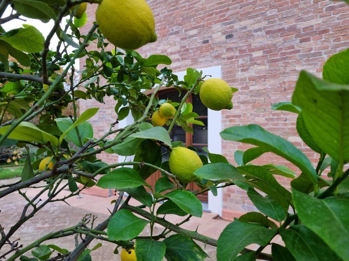 Fornace Del Conte Lägenhet Abbadia di Montepulciano Exteriör bild