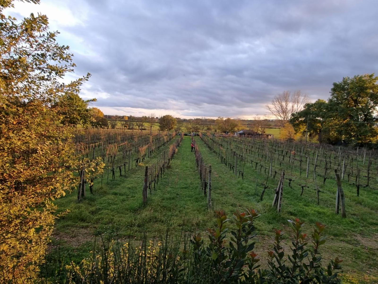 Fornace Del Conte Lägenhet Abbadia di Montepulciano Exteriör bild