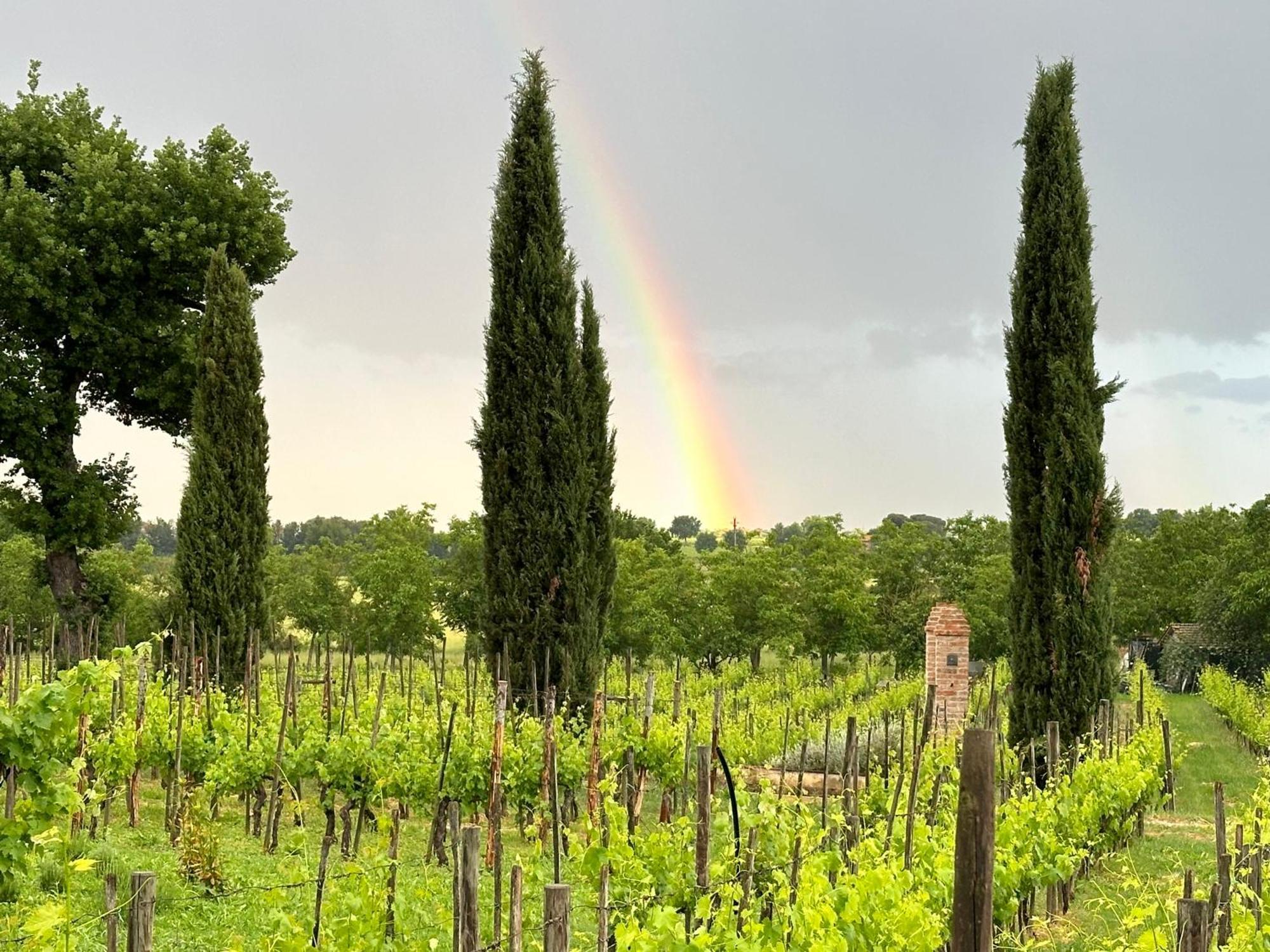 Fornace Del Conte Lägenhet Abbadia di Montepulciano Exteriör bild