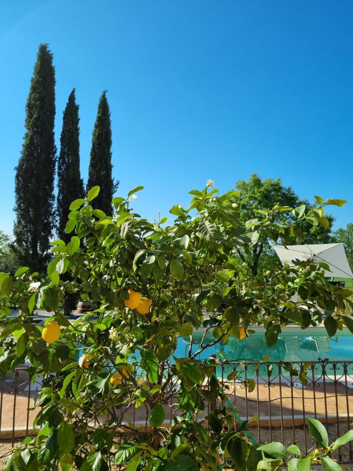 Fornace Del Conte Lägenhet Abbadia di Montepulciano Exteriör bild
