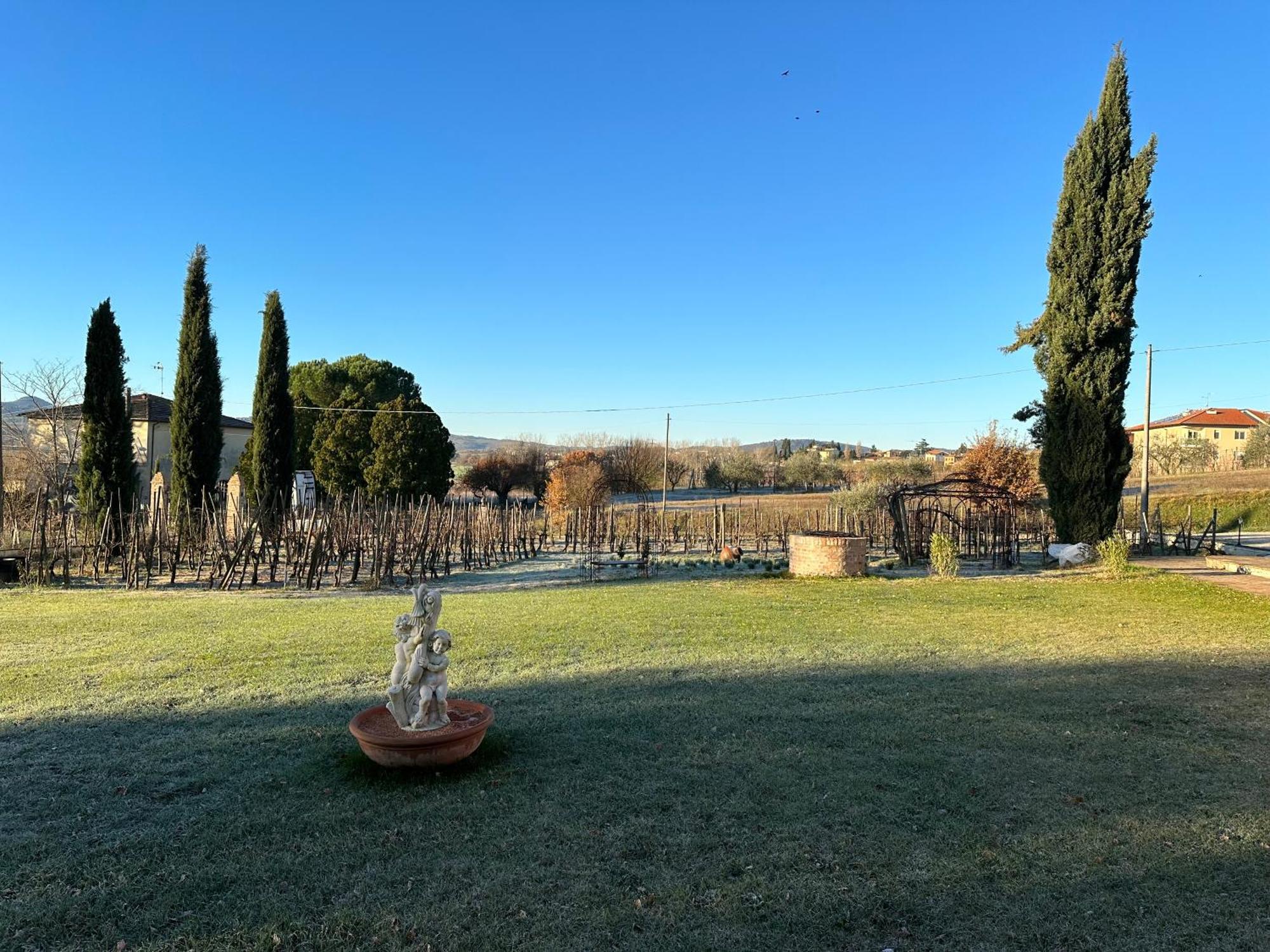 Fornace Del Conte Lägenhet Abbadia di Montepulciano Exteriör bild