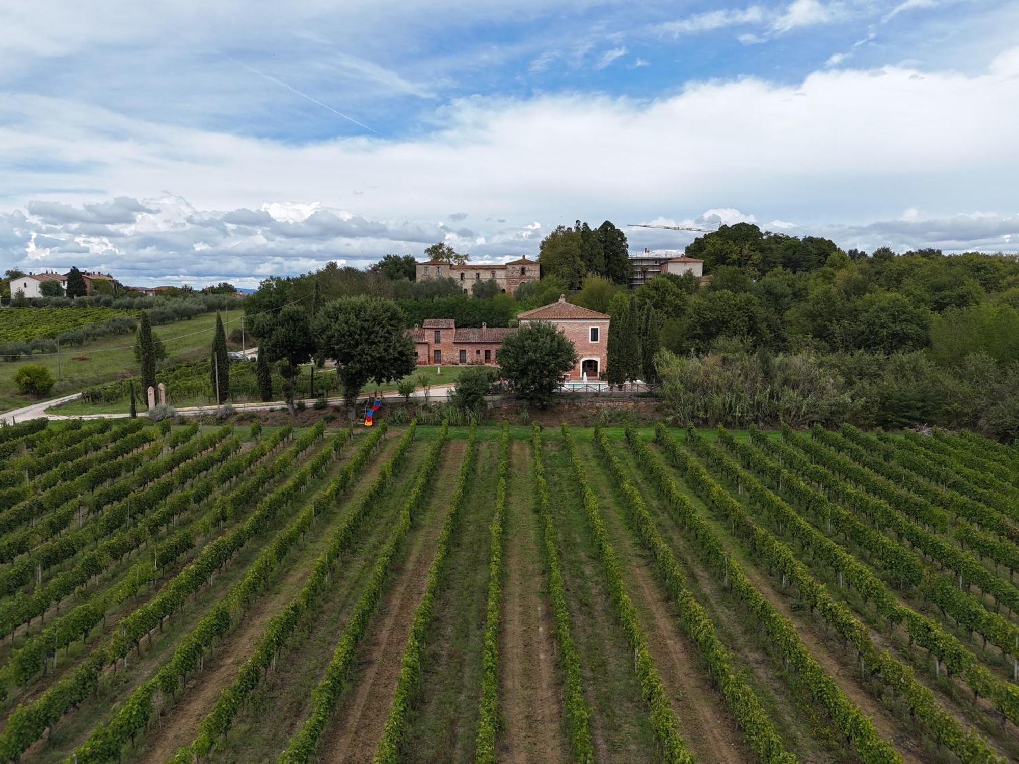 Fornace Del Conte Lägenhet Abbadia di Montepulciano Exteriör bild